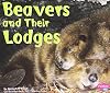 Beavers and Their Lodges (Pebble Plus: Animal Homes)