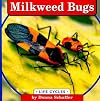 Milkweed Bugs (Life Cycles)