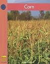 Social Studies: Corn [red, B]