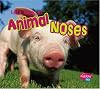 Let's Look at Animal Noses (Pebble Plus: Looking at Animal Parts)