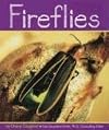 Fireflies (Pebble Books: Insects)