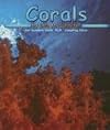 Corals (Pebble Books: Ocean Life)