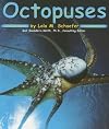 Octopuses (Pebble Books: Ocean Life)