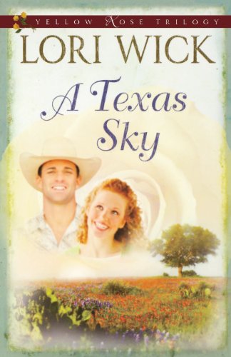 A Texas Sky book cover