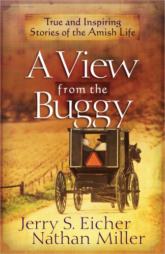 A View from the Buggy book cover