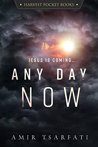 Any Day Now book cover