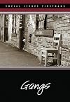 Gangs (Social Issues Firsthand)