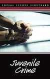 Juvenile Crime (Social Issues Firsthand)