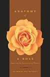 Anatomy Of A Rose: Exploring The Secret Life Of Flowers