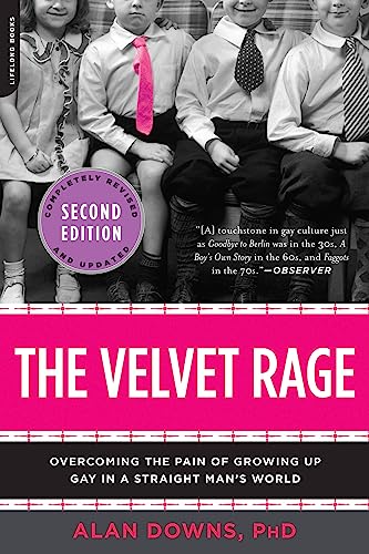 The Velvet Rage by Alan Downs — book cover