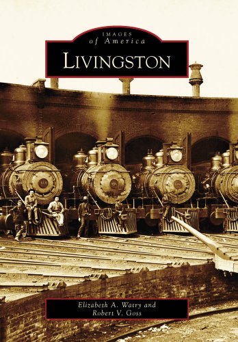 Livingston (By: Elizabeth A. Watry,Robert V. Goss) cover