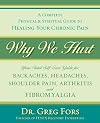 Why We Hurt: A Complete Physical & Spiritual Guide to Healing Your Chronic Pain