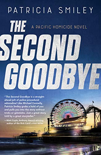 The Second Goodbye book cover
