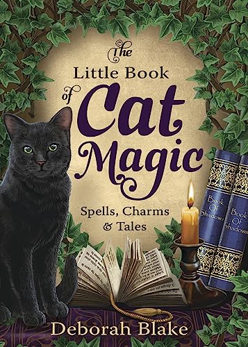 The Little Book of Cat Magic cover