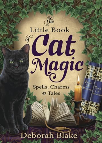 The Little Book of Cat Magic book cover