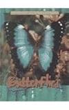 Butterflies (Animals of the Rain Forest)