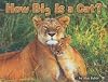 Steck-Vaughn Shutterbug Books: Leveled Reader How Big Is a Cat?, Math (Steck-Vaughn Shutterbug Books Leveled Reader: Math)