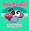Pooch Cafe: All Dogs Naturally Know How To Swim