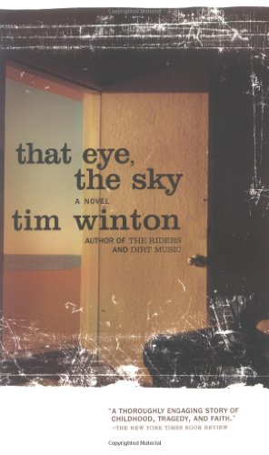That Eye, the Sky book cover