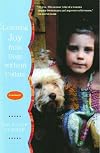 Learning Joy from Dogs without Collars: A Memoir