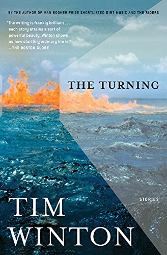 The Turning book cover