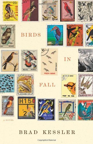 Birds in Fall book cover