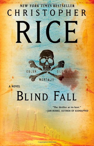 Blind Fall book cover