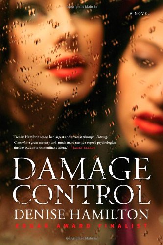 Damage Control book cover