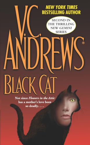 Black Cat book cover
