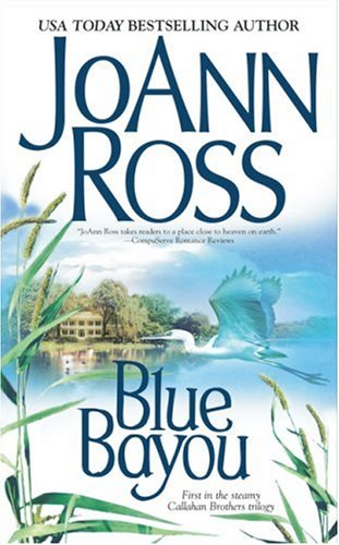 Blue Bayou book cover