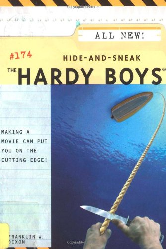 Hide-and-Sneak book cover