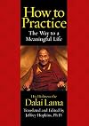 How to Practice : The Way to a Meaningful Life