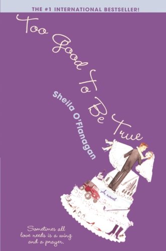 Too Good to be True book cover