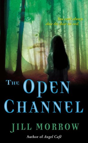 Cover of The Open Channel