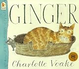 Amazon cover image