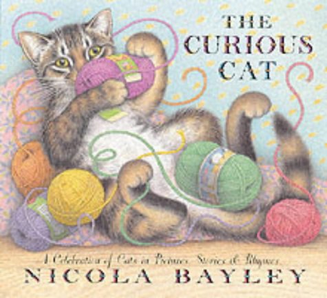 The Curious Cat book cover