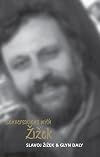 Conversations with Zizek (Conversations)