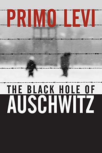 The Black Hole of Auschwitz book cover