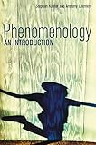Phenomenology An Introduction