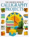 The Usborne Book of Calligraphy Projects