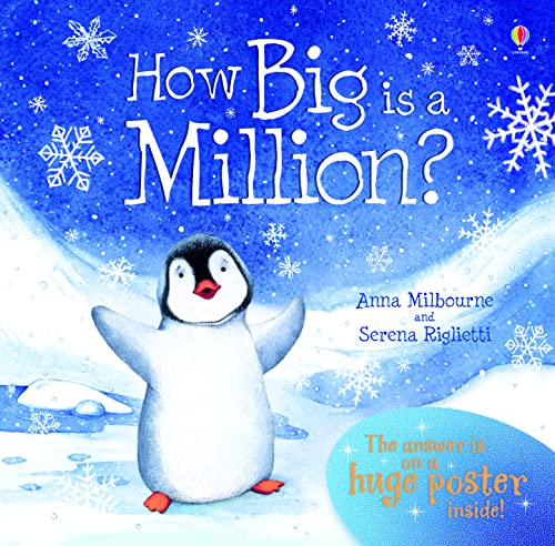How Big Is A Million? book cover
