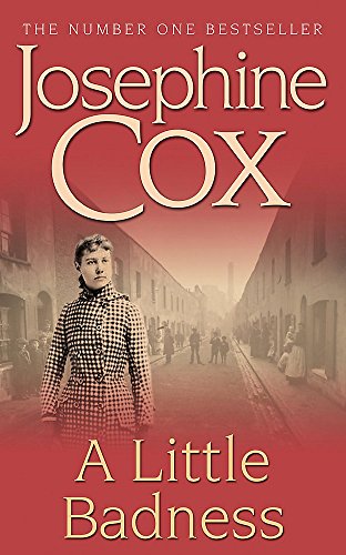 A Little Badness cover