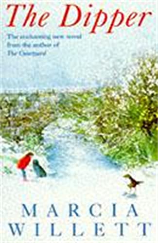 The Dipper book cover