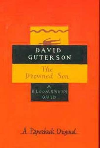 The Drowned Son book cover