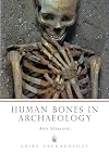 Human Bones in Archaeology