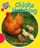 Amazon cover image