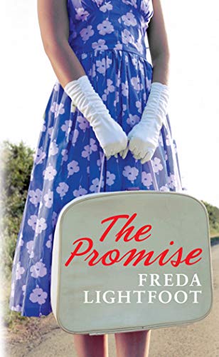 The Promise book cover
