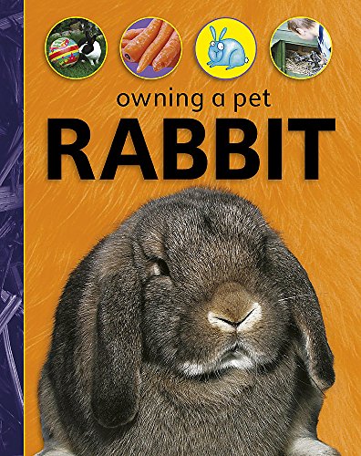 Cover of Rabbit