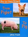 From Piglet to Pig (How Do They Grow?)