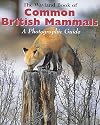 The Wayland Book of Common British Mammals: A Photographic Guide